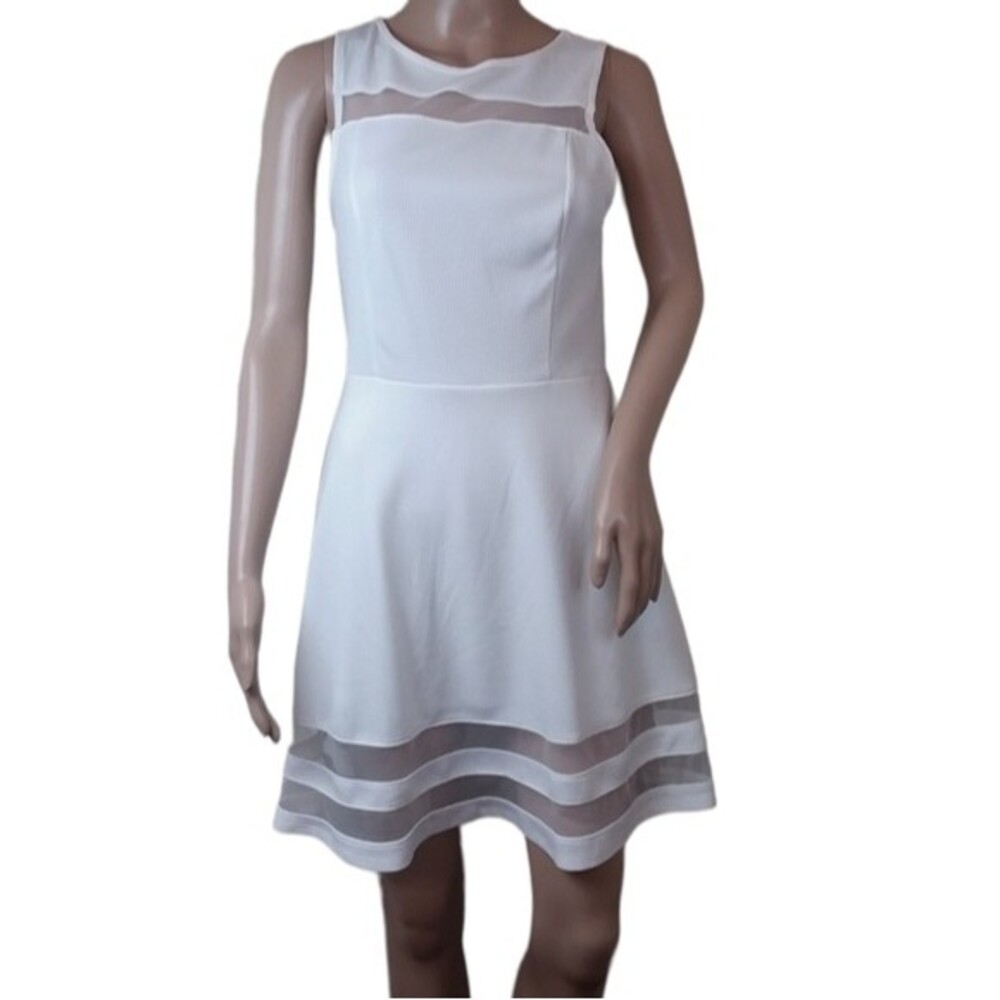 Monteau White Mesh Skater Dress